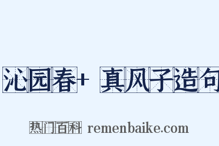 沁园春+真风子造句是什么意思的图片
